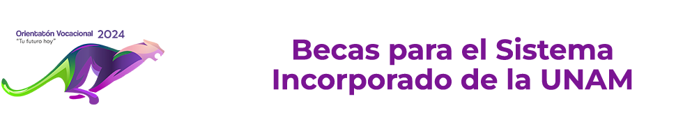 Becas UNAM-SI